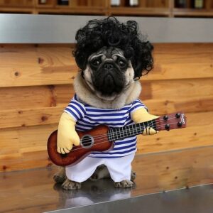 NEW Hot sale Pet dog guitarist Apparel funny guitar costume pet dog