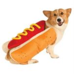 2022 Hot Dog Apparel Pet Suppliers Costume Mustard Cat Clothes Outfit